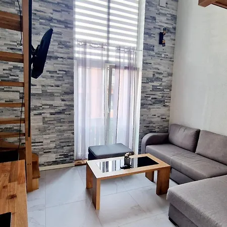 Hubane Loft Vanalinnas Apartment *
