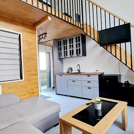 Hubane Loft Vanalinnas Apartment Tartu